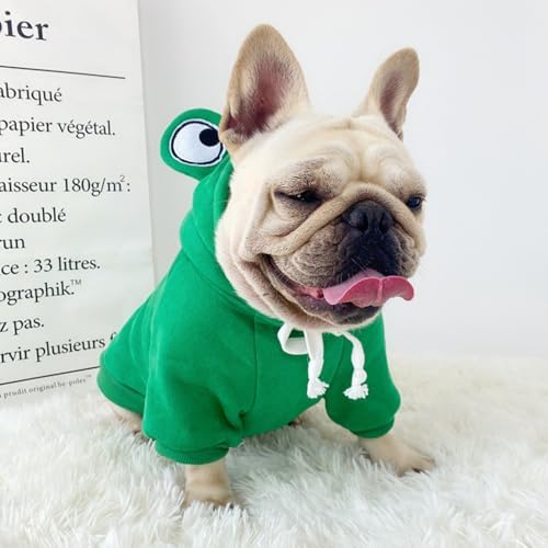 ANIAC Dog Hoodies Sweatshirt with Bunny Ears Spring Puppy Clothes for Small Dog Girl Boy Soft Doggy Sweater Cat Apparel Pet Clothing for Kitten