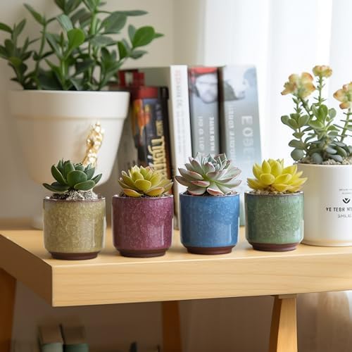T4U 2.5 Inch Small Ceramic Succulent Planter Pot with Drainage Hole Set of 6, Ice Crack Glaze Plant Container for Cactus, Gardening Plant Gifts for Women Mom Aunt Home Office Decor | Cactus planters set, indoor herb garden, bonsai tree starter, tabletop…