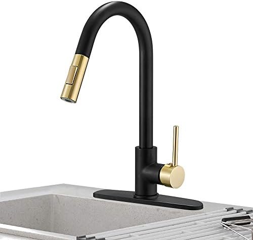 Hoimpro Kitchen Sink Faucet with Pull Out Sprayer, Rv Kitchen Faucet Pull Down Sprayer