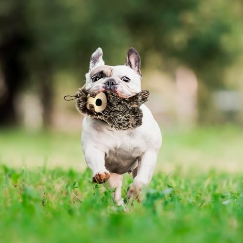 Multipet Sitting Sloth Dog Plush Toy - Squeaky Toy for All Dogs - Extra Soft Plush - Stuffed Animal for Cuddling & Playing - Cute Jumbo Pet Toy (14")