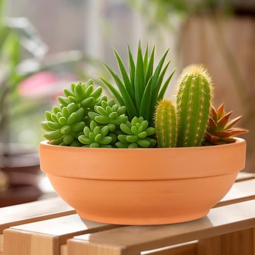 Laerjin Terracotta Pots, 6.43 Inch Shallow Pots with Drainage Hole, 6 Pack