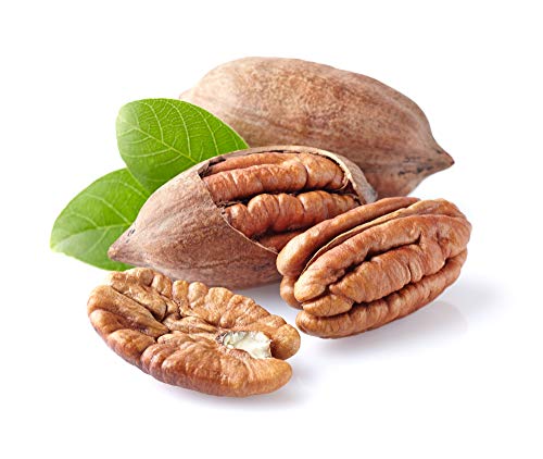Anna and Sarah Premium Georgian Raw Fresh Pecans in Shell (4.5 Lbs in Bag)