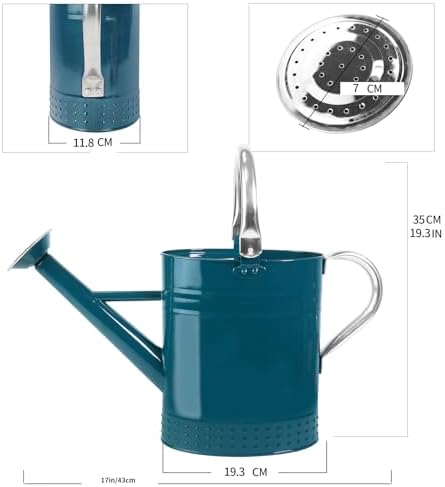 1 Gallon Metal Watering Can with Removable Spout, Nice Galvanized Steel Water Can with Embossed Design for Indoor and Outdoor Plants