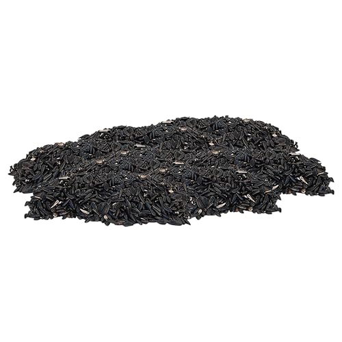Black Oil Sunflower Seed, 40 lbs.