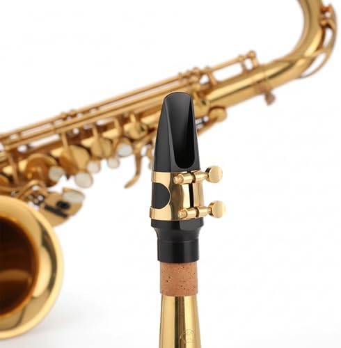 Alto Saxophone Mouthpiece Kit with Cap and Gold Metal Ligature | Includes Size 2.5 Reed & Cushions, Durable Replacement Set for Student Beginners