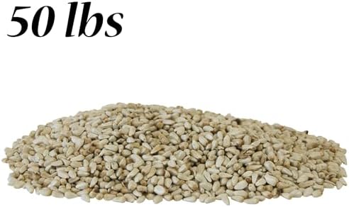 BestNest Safflower Seed, 50 lbs.