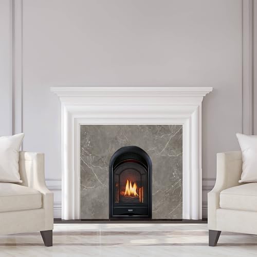 ProCom Dual Fuel Ventless Gas Fireplace Insert - Arched Door, 10,000 BTU, T-Stat Control - Model# PCS100T
