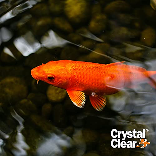CrystalClear Algae D-Solv EPA Registered Pond Algaecide, 1 Gallon | Fast-Acting algae control for fountains & outdoor ponds containing koi & other fish, 1 gal treats 46,080 gallons.
