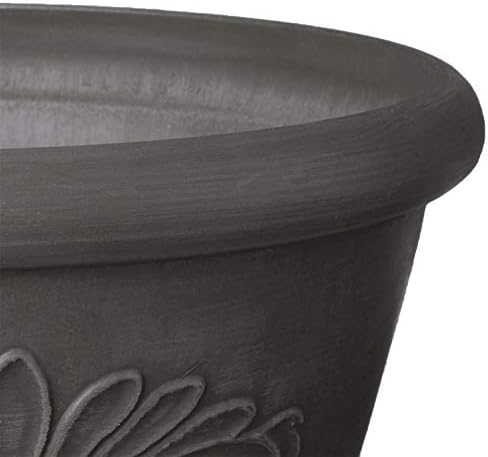Arcadia Garden Products PSW Pot TA25DC Collection Shallow Bulb Pan Planter Dish Low Bowl for Succulents, Bonsai, Fairy Gardens, Herbs, 10-inch