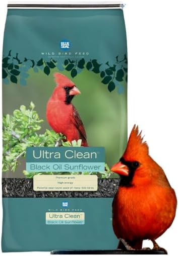 Blue Seal Premium Black Oil Sunflower Wild Bird Seed | High Protein | Attracts Cardinals, Doves