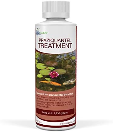 Aquascape 81041 Praziquantel Fish Treatment Liquid 250 g / 8.5 oz for Pond Water Feature