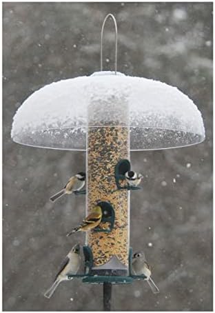 Aspects Quick-Clean Spruce Big Tube Feeder, 3.5qt Capacity - Large UV-Stabilized Feeder with 6 Feeding Stations for Backyard Birds