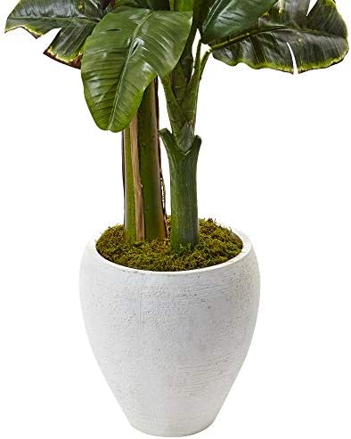 Nearly Natural 5ft. Double Stalk Banana Tree in White Planter