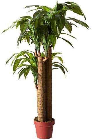 Nearly Natural 35in. Sansevieria with Black Planter and 4ft. Corn Stalk Dracaena Silk Plant (Real Touch), Green