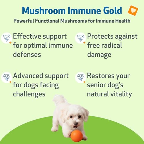Pet Wellbeing Mushroom Immune Gold for Dogs - Immune Defense