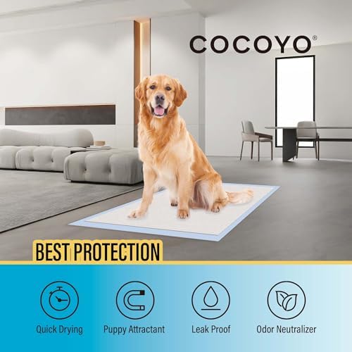 COCOYO Training Pads, 30"X36", 40 Count, XXL