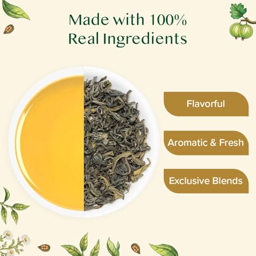 VAHDAM Assorted Green Tea Loose Leaf Tea Gift Set (10 Flavors) | Loose Leaf Green Tea Collection | Includes Himalayan Green Tea Varieties | Packed in Resealable Ziplock Pouches