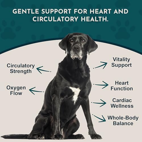 Heart Health for Dogs & Cats - Cardiovascular Support Supplement, Healthy Heart, Organic Hawthorn Berry, Herbal Tincture - 2 Fl Oz