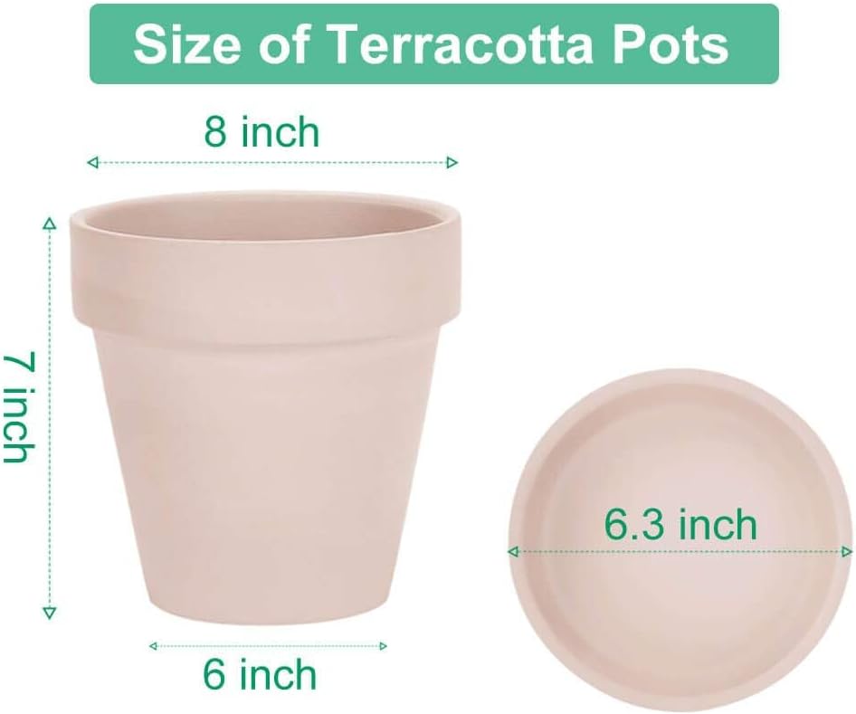 vensovo 8 Inch Clay Pot for Plant with Saucer - 2 Pack Large Terra Cotta Plant Pot with Drainage Hole, Clay Planters Pot