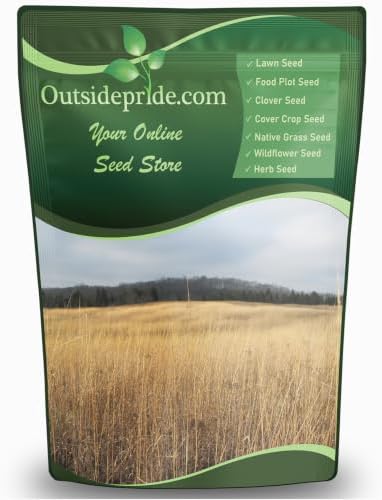 Outsidepride Indian Native Grass Seed - 1 lb. Perennial, Low Maintenance, Drought-Tolerant Prairie Grass Seed for Wildlife Habitat, Livestock Forage, Ornamental Landscaping & Erosion Control