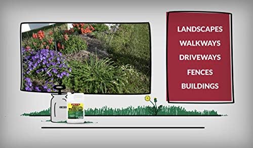 Compare-N-Save Glyphosate Concentrate Grass & Weed Killer Herbicide, 16-ounce