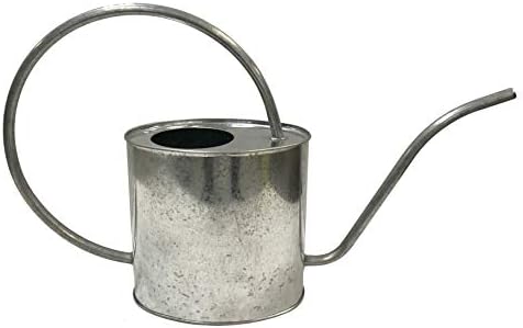 Gardener Select (W2K08PG) Metal Watering Can - Modern Indoor & Outdoor Watering Pot with Handle & Long Spout for Flowers/Plants (2 Liter, Galvanized)