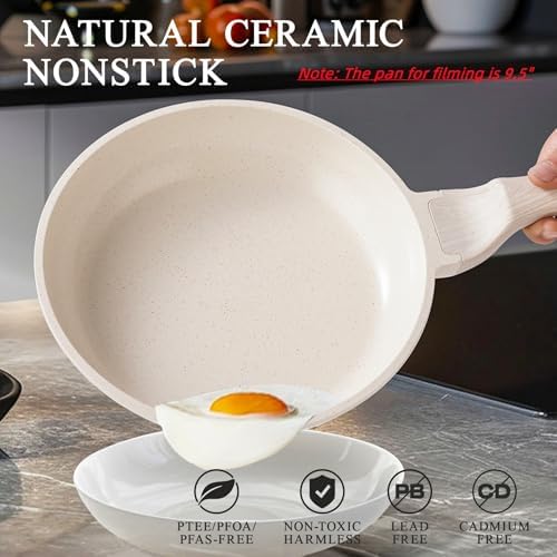Induction Nonstick Frying Pan,Light Weight Skillet,Healthy Non Toxic Omelet Pan,All Stoves Compatible Egg Pan (grey, 8inch)