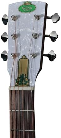 Regal Duolian Resonator Polychrome Guitar RC-1
