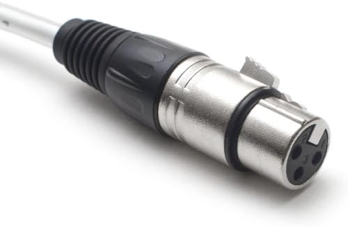 Seismic Audio SARLX-8x100 100-Feet 8-Channel XLR Snake Cable for Live, Recording, Studios, Gigs