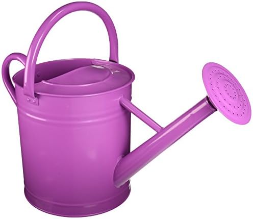 Gardener's Select AW3005PPR Watering Can, Red, 7 L