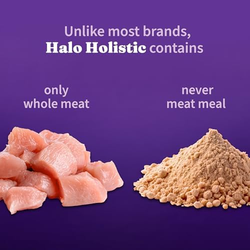 Halo Holistic Cage Free Chicken Cat Food, Healthy Grains Dry Cat Food, Complete Digestive Health, Kibble for Adult Cats, 6 lb Bag