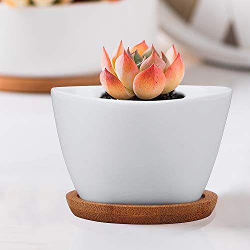 Succluent Pots ，Small Flower Pots Planter Pots with Drinage,Ceramic Flowers Pots with Bamboo Tray for Cactus(12 Pack)