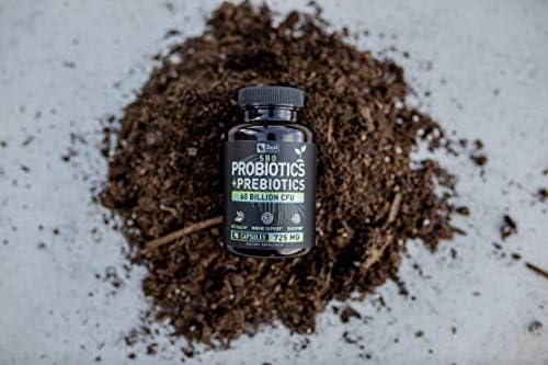 Probiotics and Prebiotics + SBO Probiotics (60 Billion CFU | 90 Capsules) Acidophilus Probiotic w. Saccharomyces Boulardii