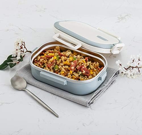 Lille Home Stainless Steel Lunch Box, 22oz Leakproof Bento Box for Adult
