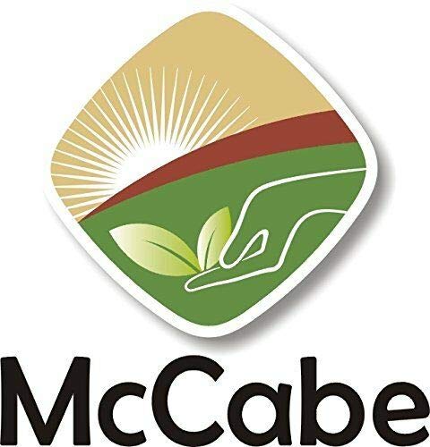 McCabe Organic Natural Sesame Seed - Organic Raw Sesame Seeds 1.5lbs | Rich with Fiber & Minerals | USDA and CCOF Certified | Packed in USA