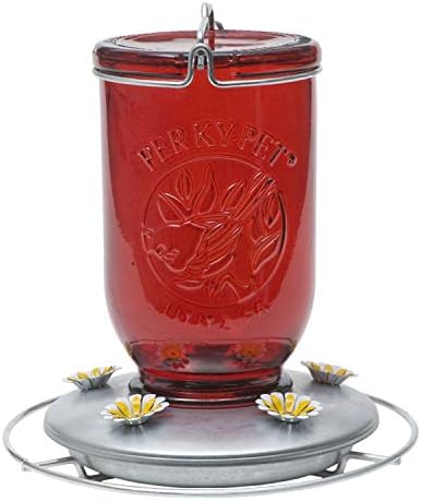 Perky-Pet Mason Jar Hummingbird Feeder, 32 oz Nectar Capacity | Vintage Style Glass Bird Feeder, 5 Flower Feeding Ports, Outdoor Garden Backyard Wildlife