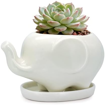 GeLive White Cow Succulent Pot, Small Ceramic Animal Planter with Drainage Hole & Saucer for Cactus, Mini Air Plants, Pencil Holder Brush Organizer, Indoor Home Office Desk Decor, Funny Gift