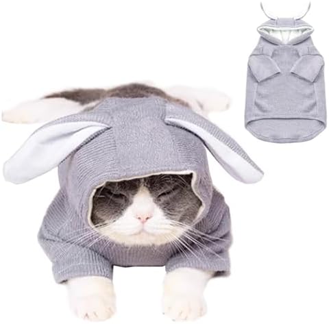 ANIAC Dog Hoodies Sweatshirt with Bunny Ears Spring Puppy Clothes for Small Dog Girl Boy Soft Doggy Sweater Cat Apparel Pet Clothing for Kitten