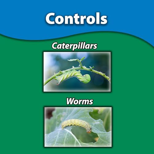 Monterey B.t. - Biological Insecticide for Organic Gardening - 1 Quart Concentrate - Apply Using a Sprayer Following Mix Instructions
