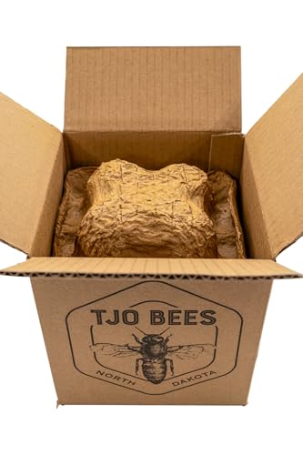 TJO Bees Raw and Unfiltered Honey (5 LB (80 OZ) Jar)
