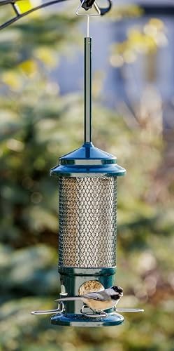 Squirrel Buster Standard Squirrel-proof Bird Feeder w/4 Metal Perches, 1.3-pound Seed Capacity, garden green | Four metal perches
