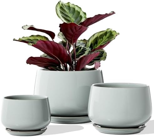 LE TAUCI Plant Pots, 4.1+5.1+6.5 inch, Set of 3, Ceramic Planters with Drainage Hole and Saucer, Indoor Flower Pot with Hole Mesh Pad, Gifts for Mom