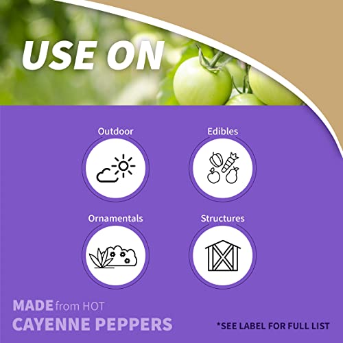 Bonide Hot Pepper Wax Animal Repellent, 32 oz Ready-to-Use Spray for Deer, Squirrels, Rabbits in Lawn & Garden | Repel Deer, Squirrels