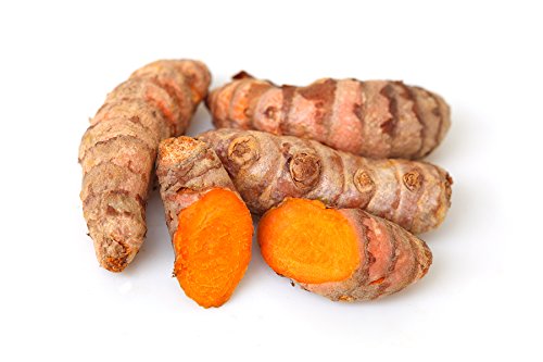 Fresh Yellow Turmeric Root - 3 Lbs.