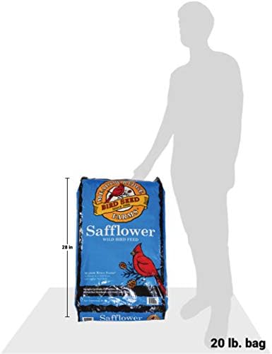Safflower Bird Seed, 20-Pound Bag