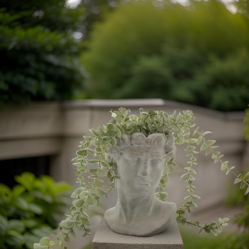 Greek Statue Head Cement Man Head David Planter (9")