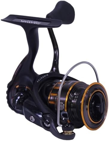 Daiwa BG1500 BG Saltwater Spinning Reel, Black/Gold