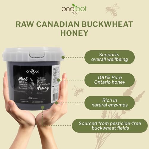 OneRoot Raw Buckwheat Honey – 500g / 17.6oz, Unheated & Unprocessed Dark – Nutrient-Rich, Antioxidant-Packed Natural Sweetener – Pure & Unfiltered Honey