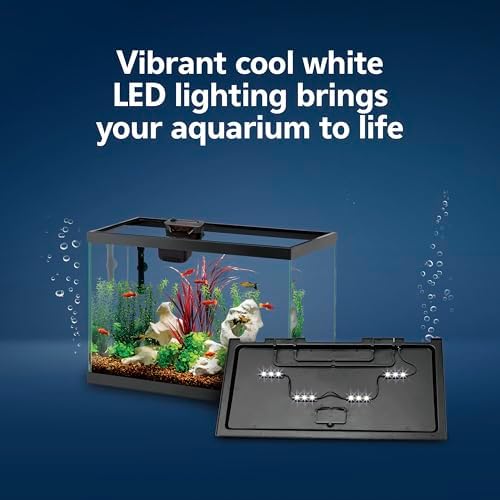 Aqueon Aquarium Fish Tank Starter Kit with LED Lighting 10 Gallon Fish Tank