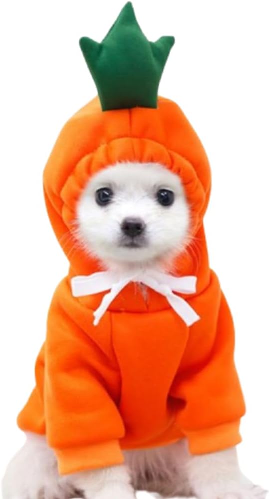 ANIAC Dog Hoodies Sweatshirt with Bunny Ears Spring Puppy Clothes for Small Dog Girl Boy Soft Doggy Sweater Cat Apparel Pet Clothing for Kitten